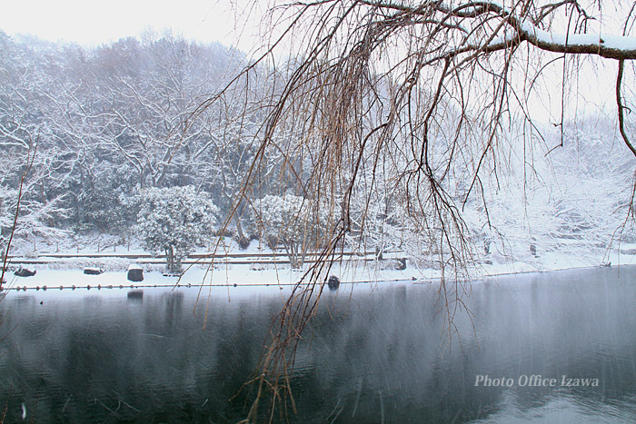 千葉県３２ｃｍの積雪・・・_c0181958_323305.jpg