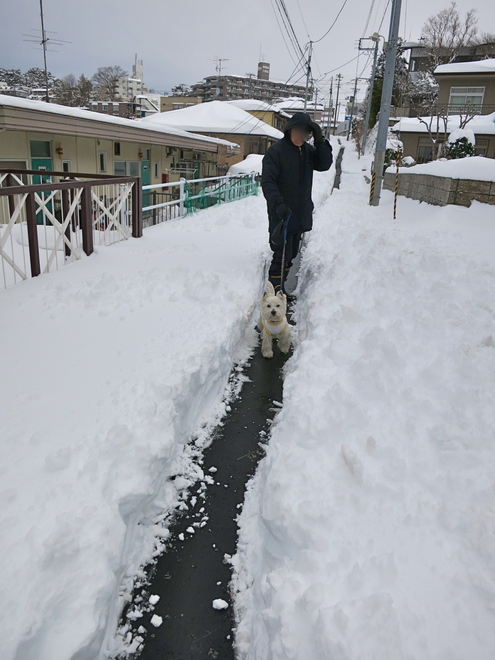 大雪散歩（当日編）_c0260460_1227155.jpg