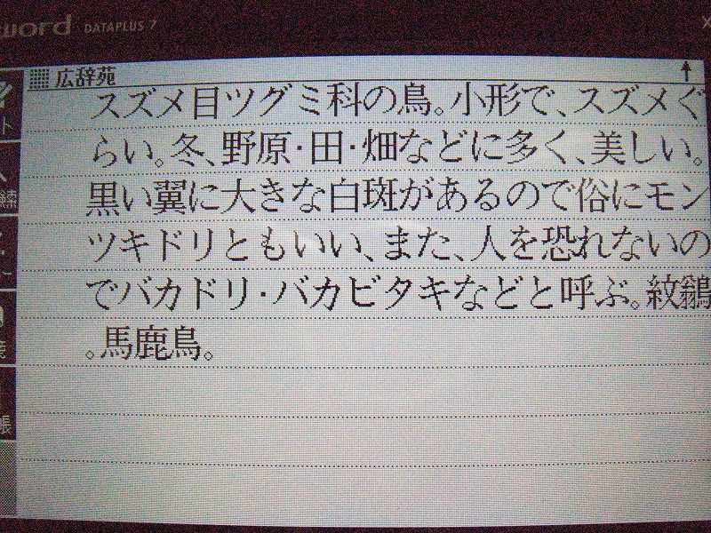 鳥　。。。。　ジョウビタキはバカビダキ　？　？_d0244960_16381557.jpg