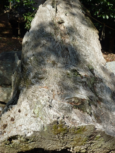 c0222861_2143148.jpg