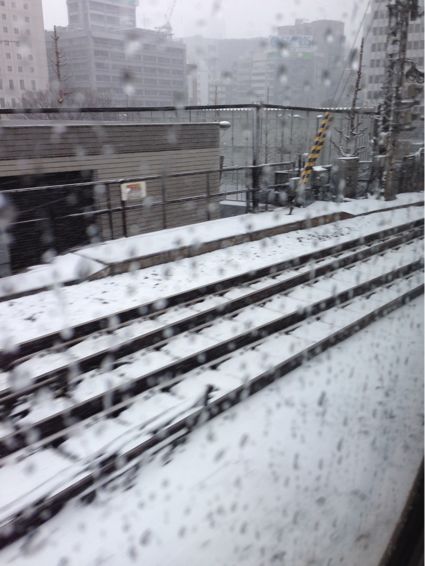 大雪の中、伊豆の温泉旅行へ_d0152261_013875.jpg