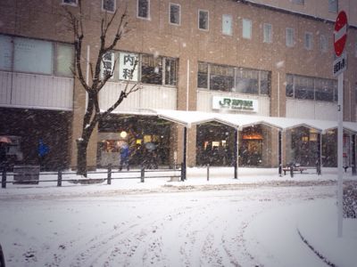 東京45年ぶりの大雪_c0198263_17524357.jpg