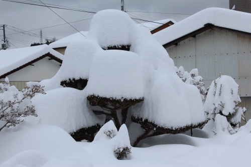 日曜日で良かった（14.02.09大雪）_e0170863_22512380.jpg