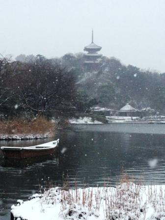 雪の三渓園_c0131164_22162947.jpg