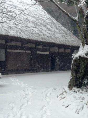 雪の三渓園_c0131164_22205978.jpg