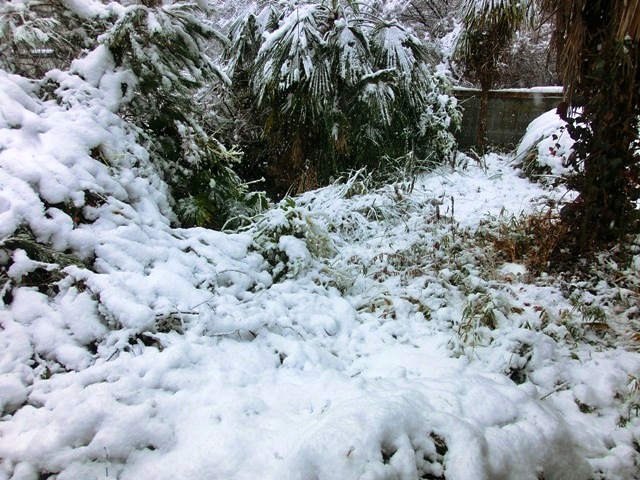 c0105569_0383160.jpg