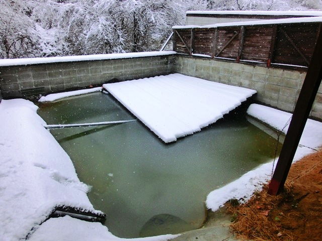 c0105569_0384794.jpg