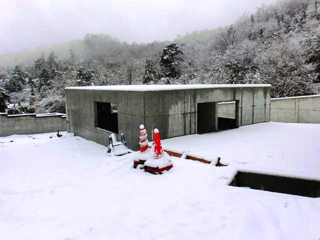 c0105569_039204.jpg