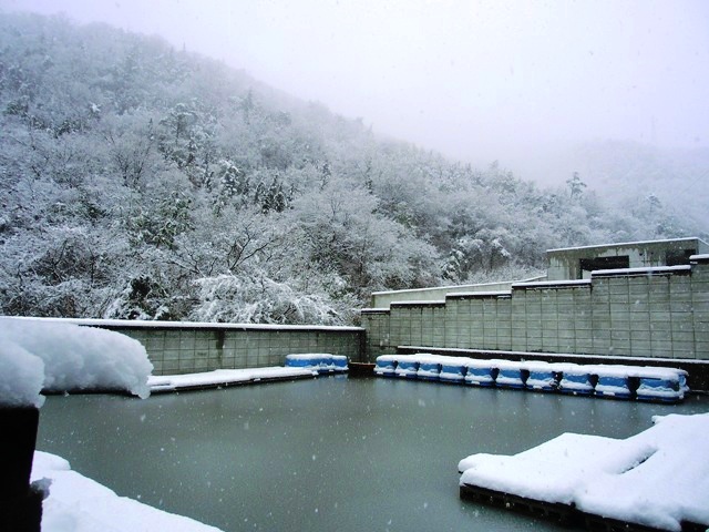 c0105569_039457.jpg