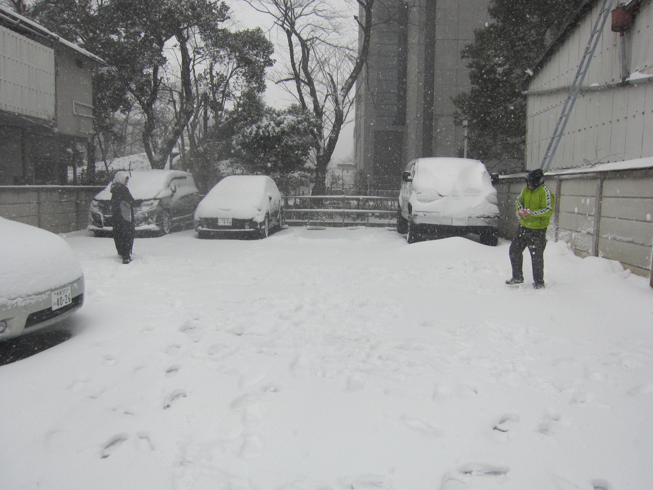 大雪_b0219170_1433587.jpg