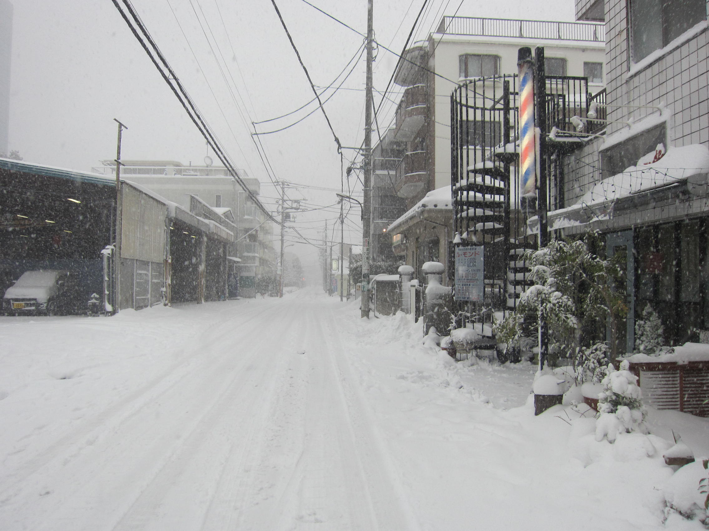大雪_b0219170_14464470.jpg