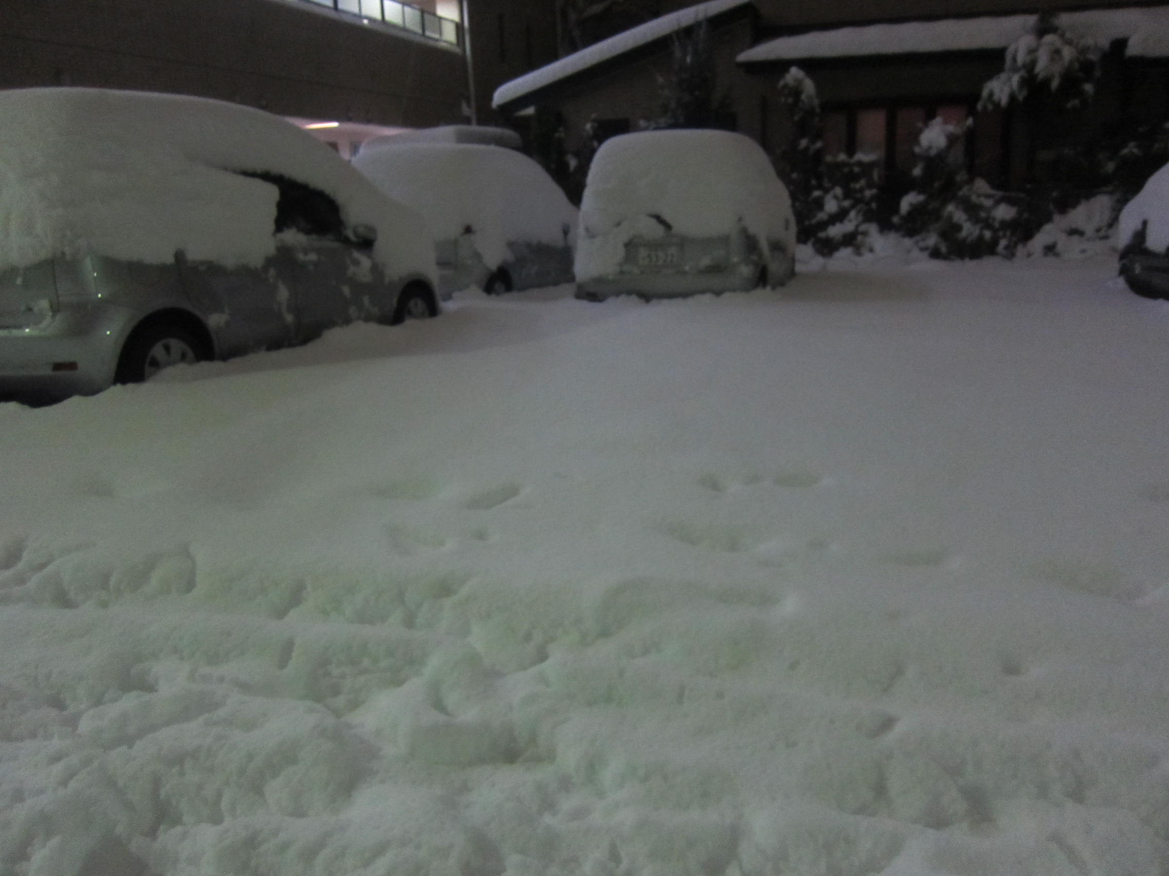大雪_b0219170_14474017.jpg