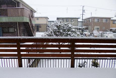 c0138070_21363977.jpg