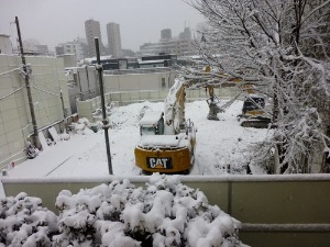 本当に大雪だった・・・行きはよいよい_a0157174_1115416.jpg