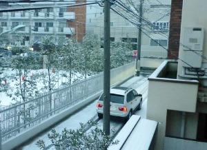 本当に大雪だった・・・行きはよいよい_a0157174_945455.jpg