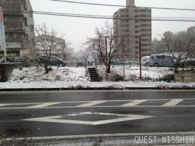 2014.02.08「やはり雪・・・でした」_c0197974_4493278.jpg