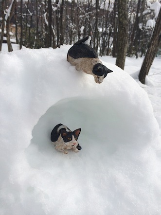 雪、すごかったですねー。_e0066474_2155038.jpg