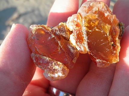 海で拾った赤い石を磨いたもの Thanksgiving 2025 C5292765757