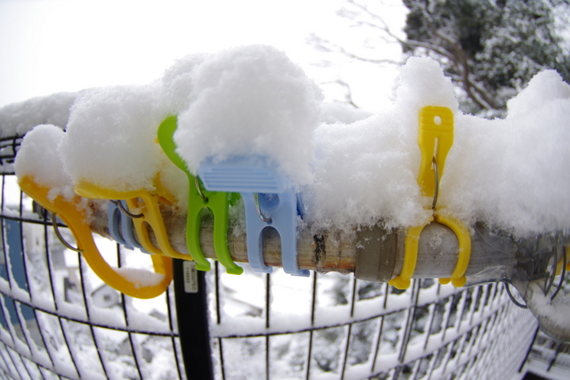 45年ぶりの大雪だぁ！（らしい）_c0126477_12262527.jpg