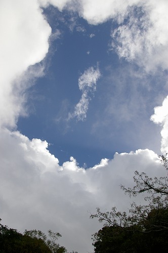 f0168478_23384145.jpg