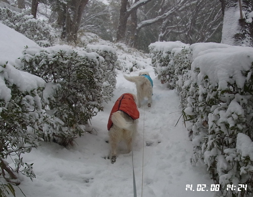 雪遊び　2月8日（土）_b0136381_1714264.jpg