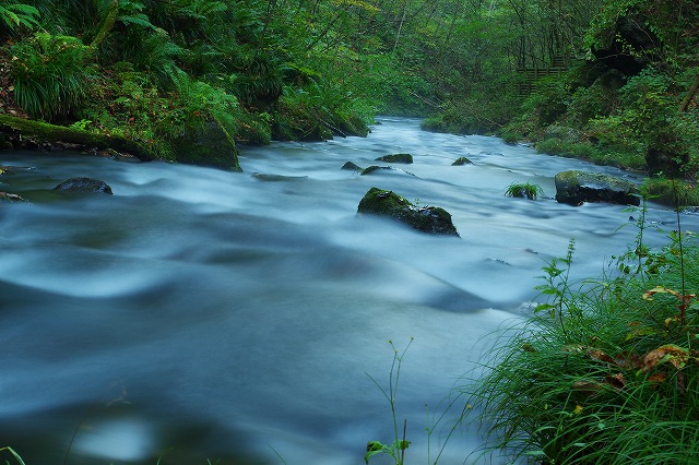c0324983_07154339.jpg