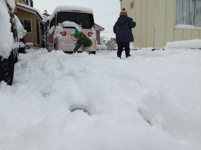 雪降った〜(´▽`)_b0213187_20375068.jpg