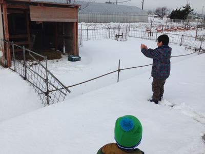 雪降った〜(´▽`)_b0213187_20375249.jpg