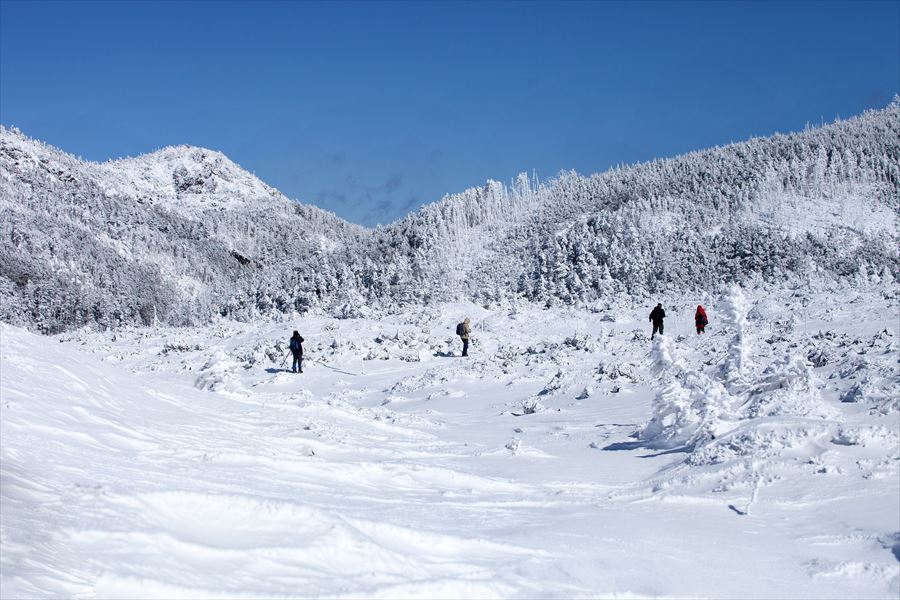 e0305388_117287.jpg