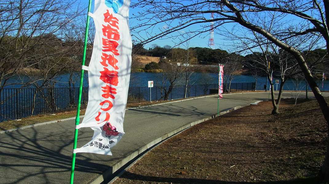 a0152692_18165267.jpg