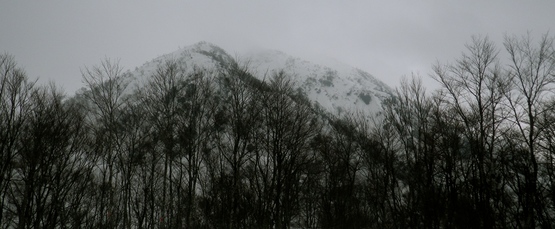 e0111396_054671.jpg