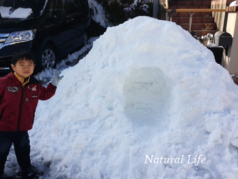 雪、雪、そしてかまくら_b0162000_943769.gif