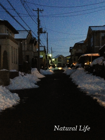 雪、雪、そしてかまくら_b0162000_964659.gif