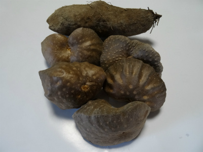 c0125501_22495657.jpg