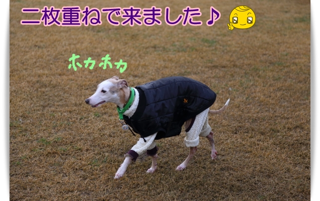 e0100007_21554531.jpg