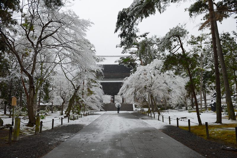 京都の町に雪が積もったぞ~!南禅寺_f0032011_19363737.jpg