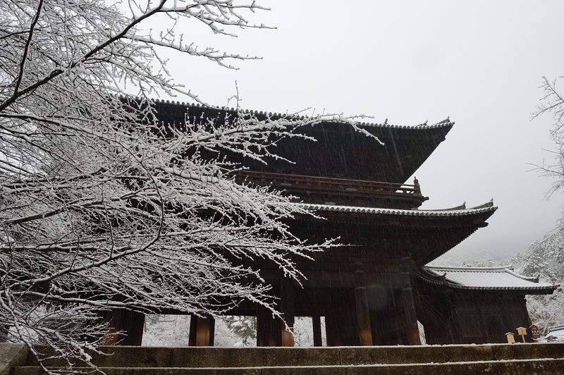 京都の町に雪が積もったぞ~!南禅寺_f0032011_19364954.jpg