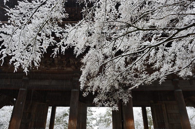 京都の町に雪が積もったぞ~!南禅寺_f0032011_19371141.jpg