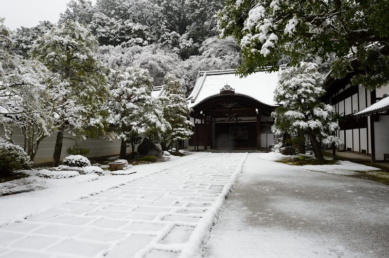京都の町に雪が積もったぞ~!南禅寺_f0032011_19381880.jpg