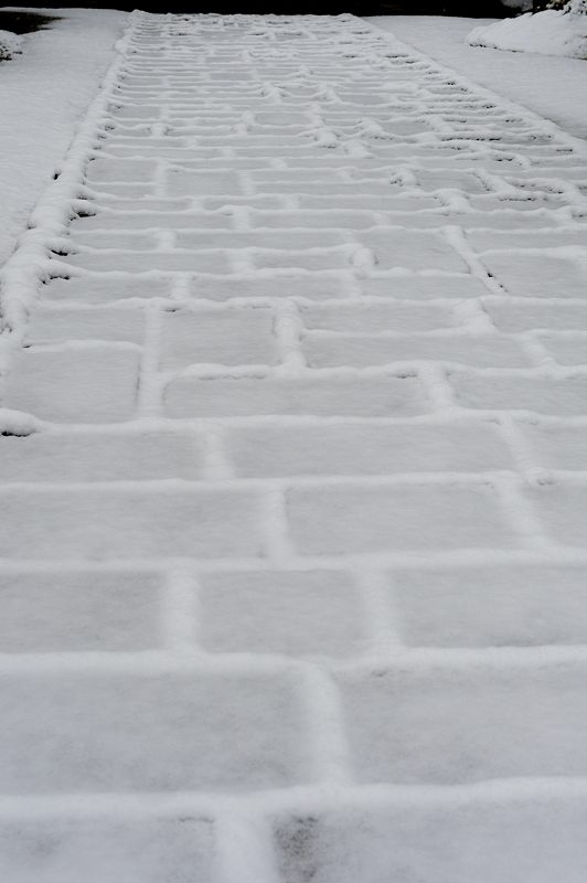 京都の町に雪が積もったぞ~!南禅寺_f0032011_1938266.jpg