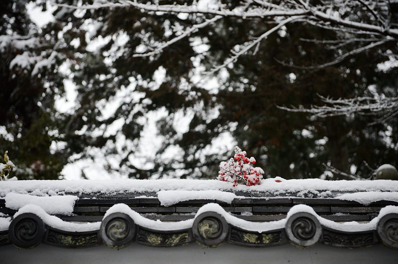 京都の町に雪が積もったぞ~!南禅寺_f0032011_19383917.jpg