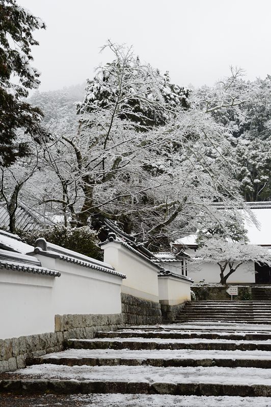 京都の町に雪が積もったぞ~!南禅寺_f0032011_19385145.jpg