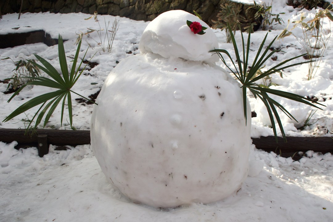 花のある雪達磨＠井の頭公園_f0006713_20105495.jpg