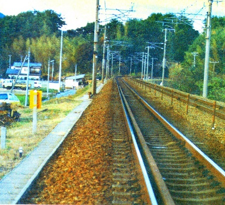e0125014_11494397.jpg