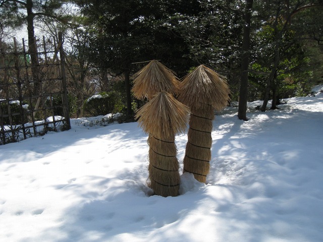e0117318_23124577.jpg
