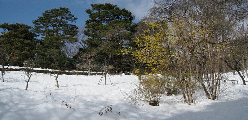 e0117318_2323958.jpg