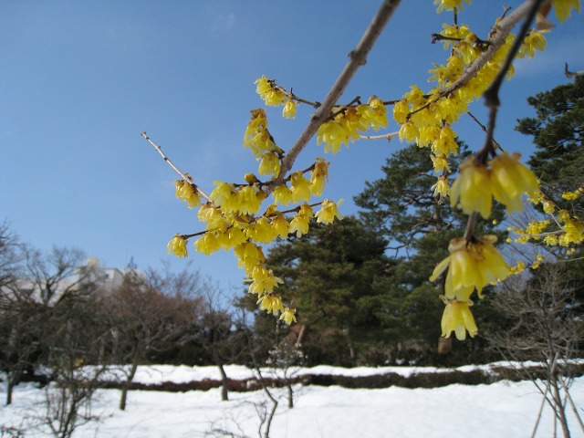 e0117318_2333646.jpg