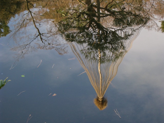e0117318_2372564.jpg