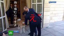 生命は待ったなし_a0043520_11154241.png