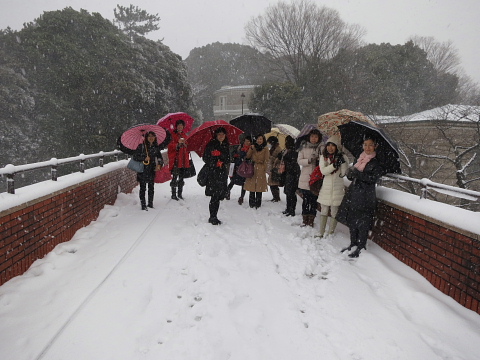 大雪の日、箸文化を味わう。_d0046025_05992.jpg